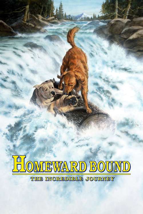 Homeward Bound: The Incredible Journey