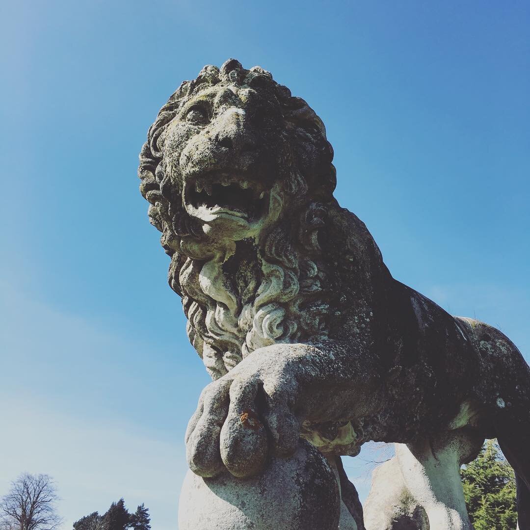 Lion at Kedleston Hall