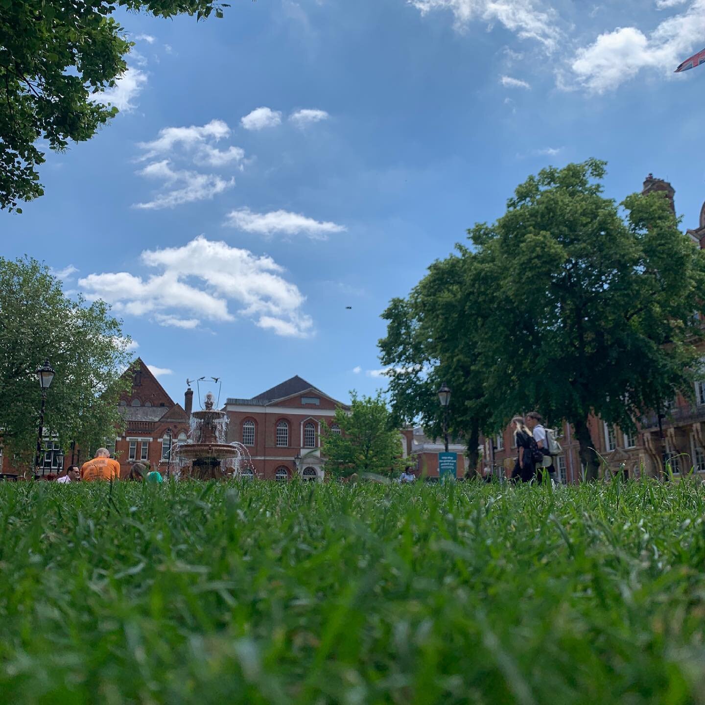 Grass and Blue Skies