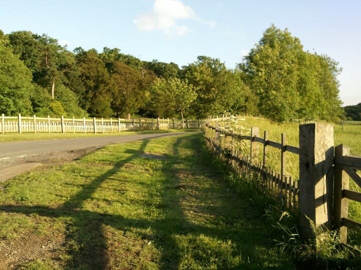 Fence Posts