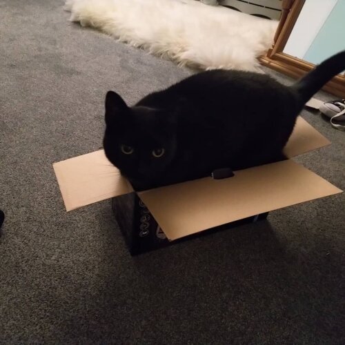 I fits I sits?